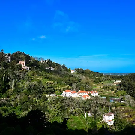 Nh Centro 4* 辛特拉